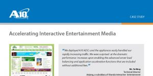 Shanda Interactive Entertainment Limited Case Study