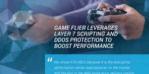 GameFlier Case Study