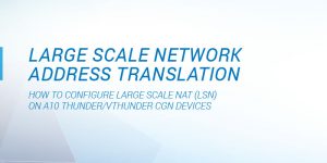 Large Scale Network Address Translation Deployment Guide