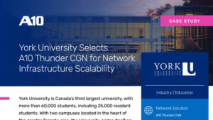 Screenshot of York University case study document